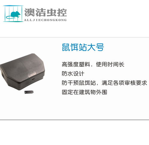 潍坊灭鼠杀虫公司 烟台澳洁虫控 在线咨询 潍坊灭鼠公司