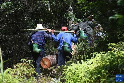 新华全媒+丨奋斗的背影 平凡而伟大_中安在线